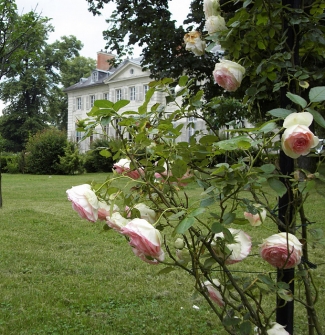 Lire la suite à propos de l’article Visite du château et de son parc