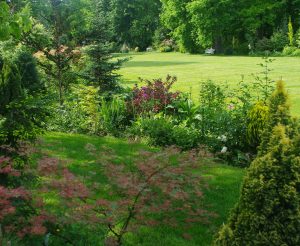 CHATEAU DE LA CHESNAIE / PARC