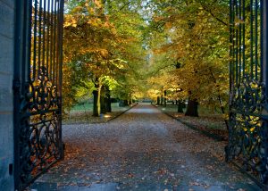 CHATEAU DE LA CHESNAIE