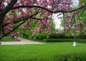 CHATEAU DE LA CHESNAIE / PARC