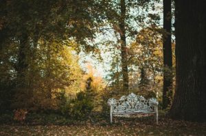 CHATEAU DE LA CHESNAIE / PARC